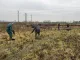 Rustpunt Boerderij Nieuw Slagmaat