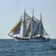 Tall Ships