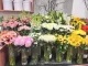 Bulimba Florist