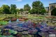 Sonnen Garten