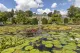 Sonnen Garten