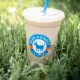 Blue Donkey Coffee