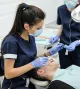 Stomoatologia Srokosz