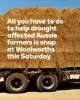 Woolworths