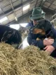 Biologisch Dynamische Boerderij Heerlijkheid Groot Weede