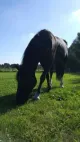 Biologisch Dynamische Boerderij Heerlijkheid Groot Weede