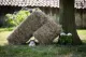 Biologisch Dynamische Boerderij Heerlijkheid Groot Weede