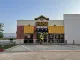 Golden Chick