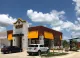 Golden Chick