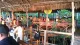 Crab shack dabaso