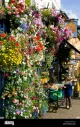 Petals of Crickhowell