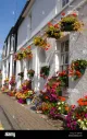 Petals of Crickhowell