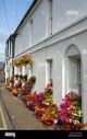 Petals of Crickhowell