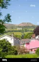 Petals of Crickhowell