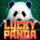 Lucky Panda