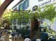Restaurant Zorbas