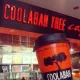 Coolabah Tree Cafe Stapylton