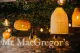 Mr MacGregor's