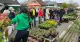Plantenbeurs Papendrecht