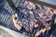Agnello Farms