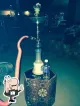 Sahara Hookah Lounge