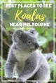 Koala Living