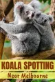 Koala Living