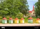Hjo Blomster