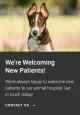 East Bay Veterinary Clinic