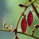 Stone Arrow Jewellery