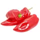 Red Pepper