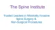 The Spine Institute