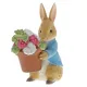 Peter Rabbit Flowers