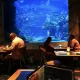 The Reef Restaurant