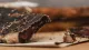 Karoo Range Biltong