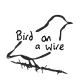 Bird On A Wire