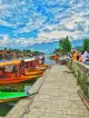 Barista Cafe at Dal Lake