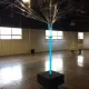 Project L.A.M.B.S International