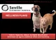 Seville Veterinary Clinic