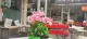 Caffe Zora