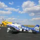 Action RC Aircraft Center