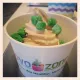 FroYo Zone