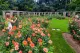 Rose Garden