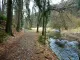 Wildverkauf am Tharandter Wald