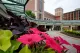 UNMC - NICU