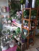 La boutique fleurie