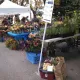 Hamilton Farmer's Market