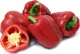 Red Pepper