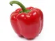 Red Pepper