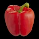 Red Pepper